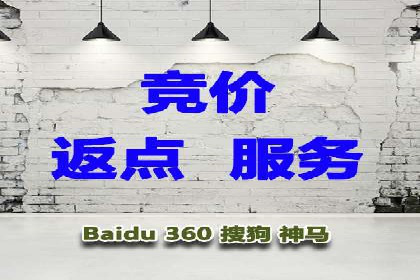 案例解读：SEM托管服务助力企业快速崛起